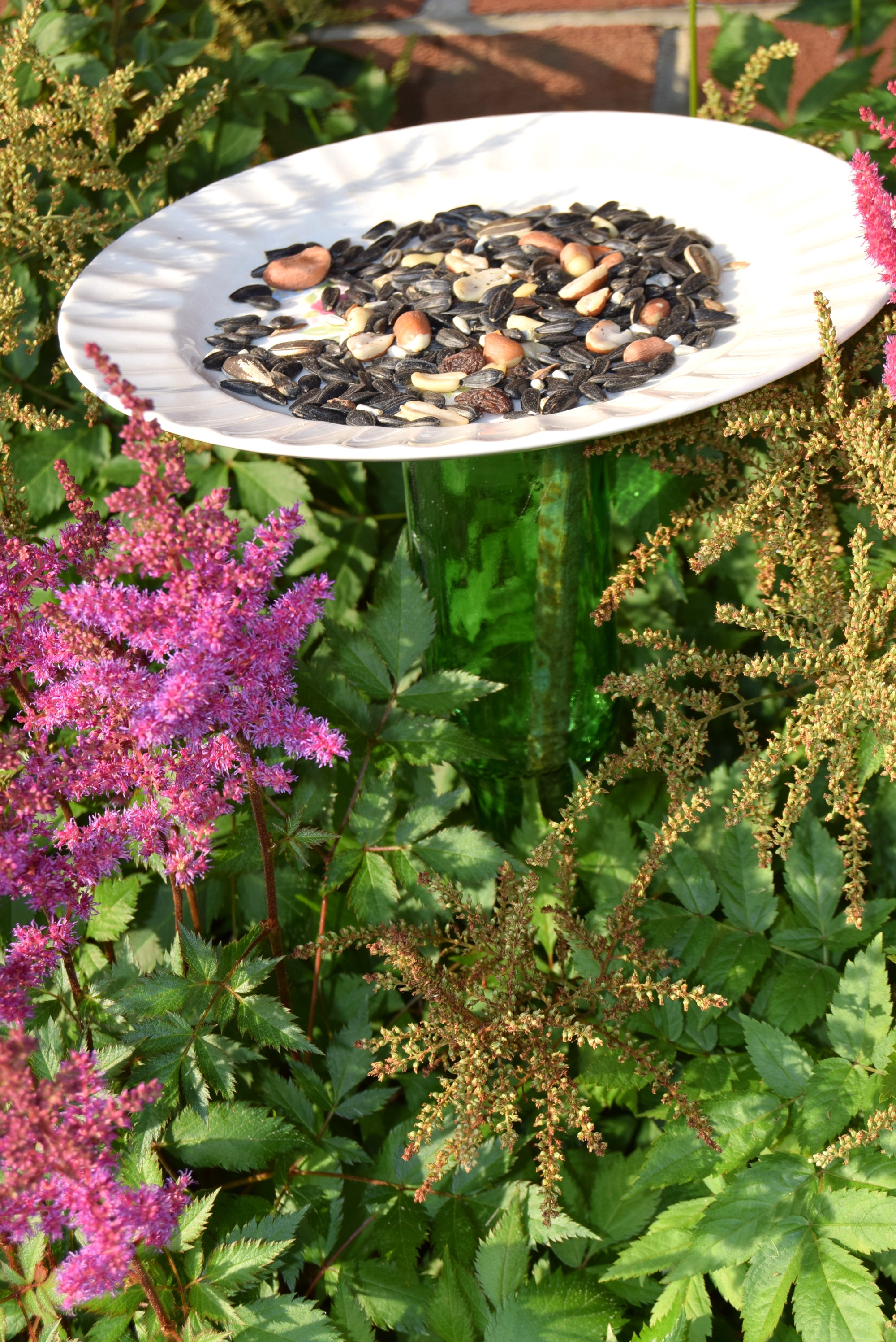 upcycled bird feeder made from saucer