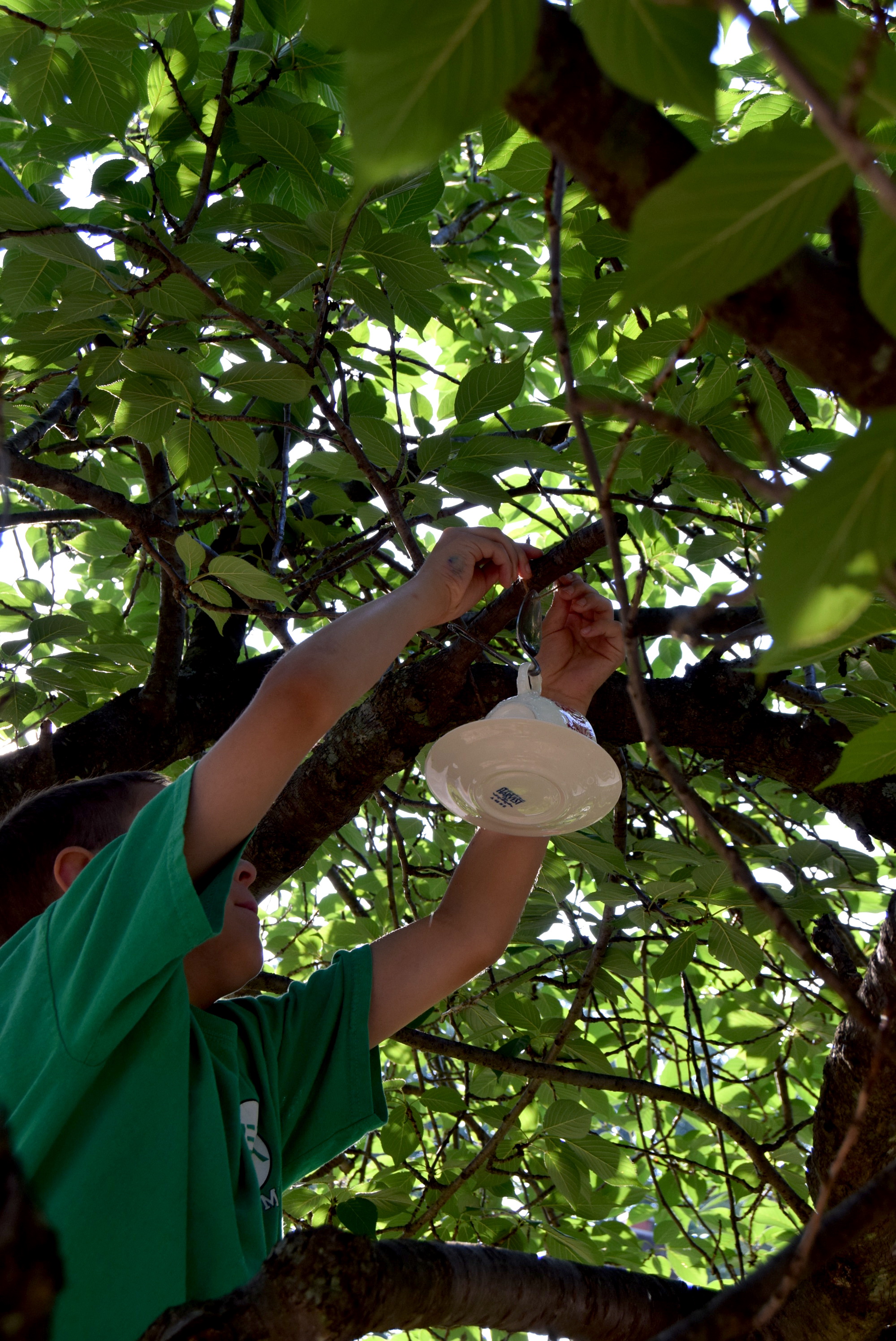 hanging the finished bird feeder from a tree