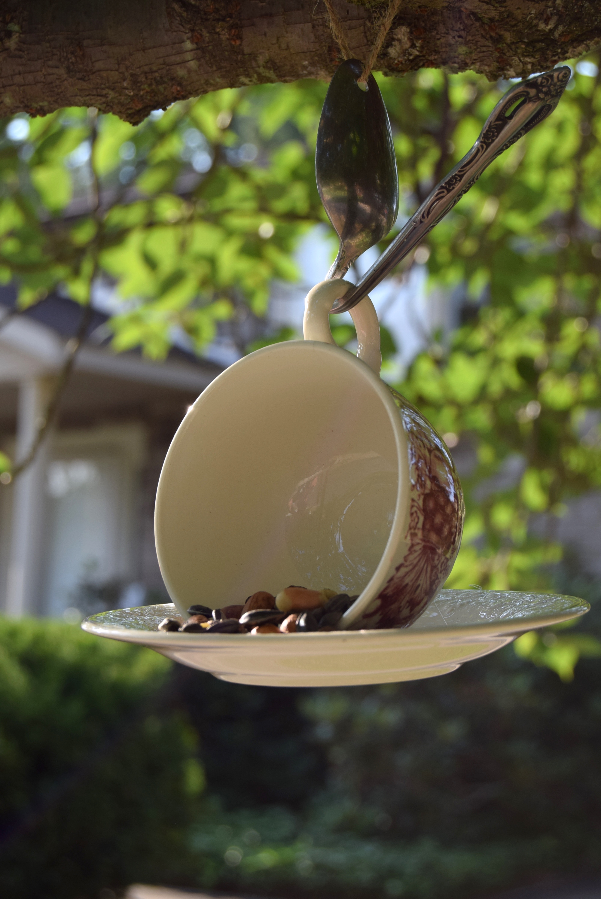 Courtney's hanging bird feeder made from a tea cup and saucer