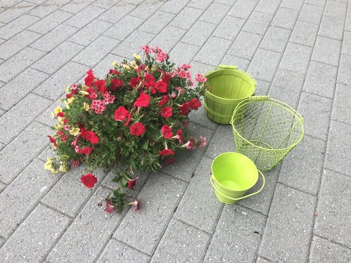 Tim's flowers and painted baskets.