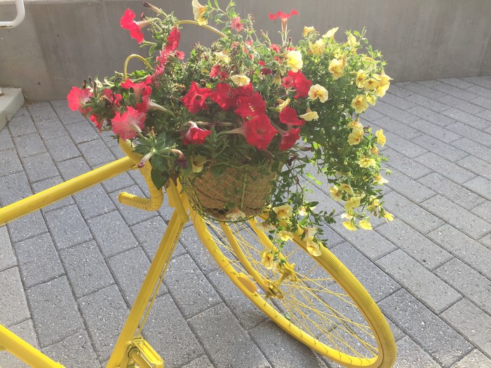 Tim displays the basket planter on his bicycle