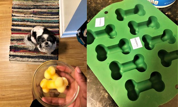 Goodwill Loves Dogs: DIY Dog Food with a $2 Mold