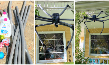 DIY Project: Spin a Web of Fun With Big Spiders & Beverage Containers