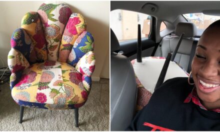 Thrift Wish List: I Found the Chair of My Dreams