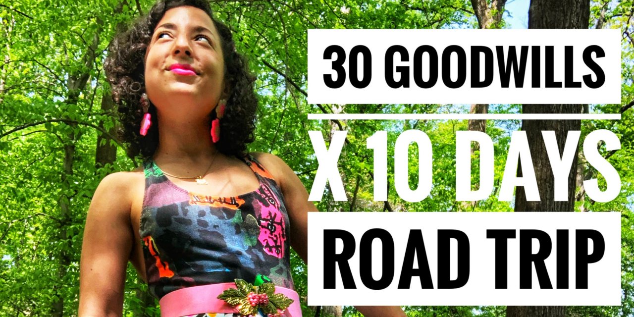 Can I Do It? 30 Goodwills in 10 Days Road Trip