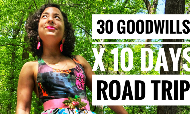 Can I Do It? 30 Goodwills in 10 Days Road Trip