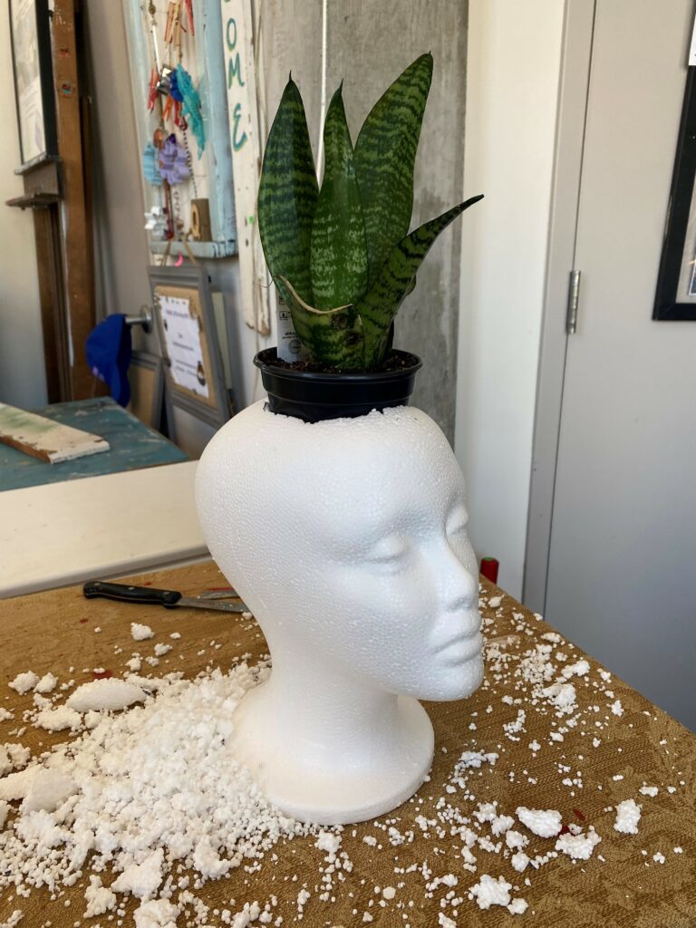 How to Make a Styrofoam Head Planter - Persia Lou