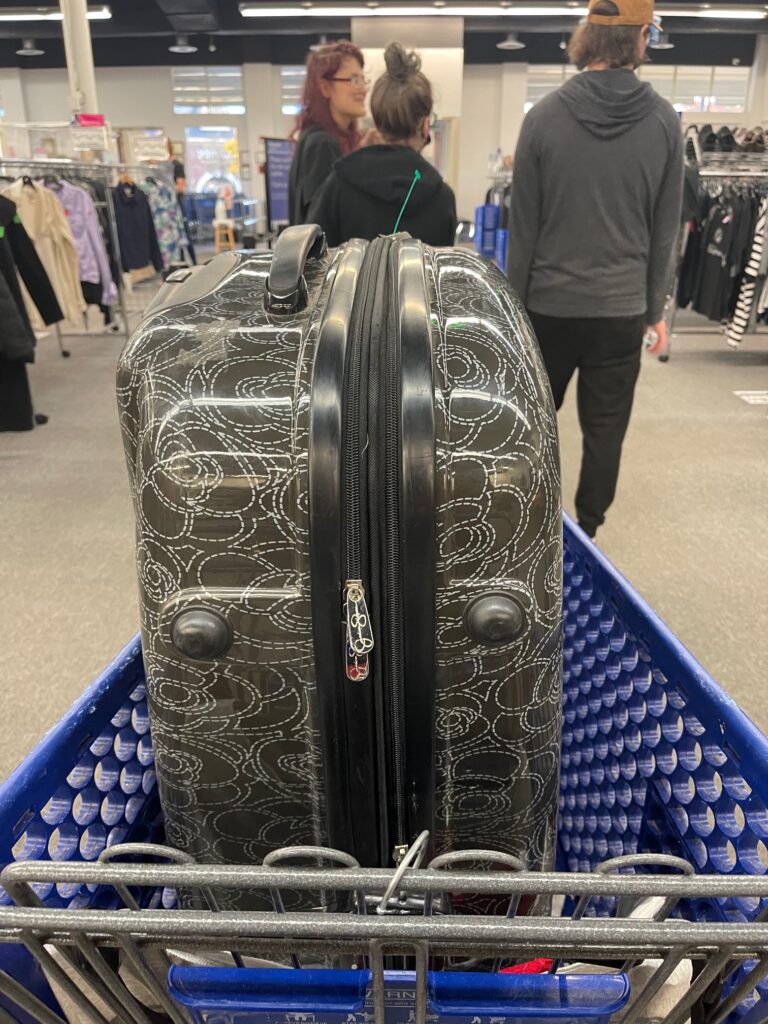 Goodwill luggage on sale