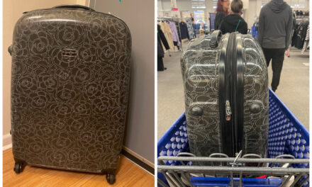 My Goodwill Find: Traveling in Style