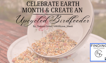 DIY: Celebrate Earth Month and Create an Upcycled Birdfeeder