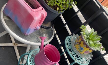 Tips for Balcony Gardening Using Goodwill Finds