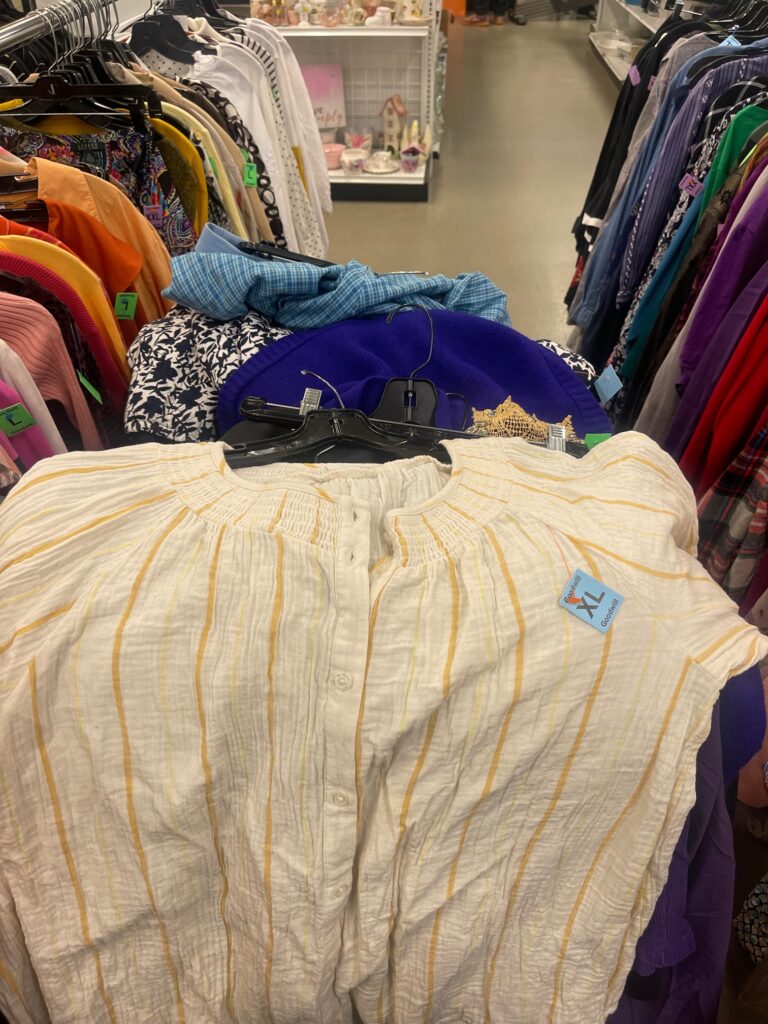 Cute on sale goodwill outfits