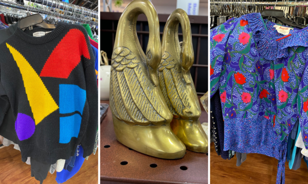 Five Funky Goodwill Finds in Fifteen Minutes