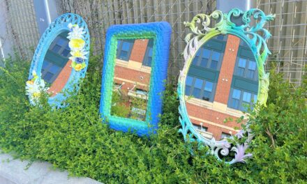 How to Upcycle Thrifted Mirrors to Reflect the Spring