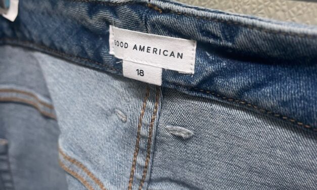 New with Tags Good American Jeans for How Much??