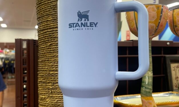 I Thrifted a $45 Stanley Tumbler for How Much?!