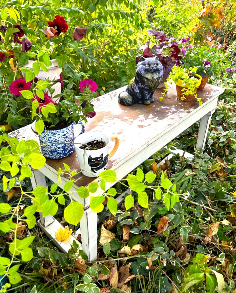 Garden Crafts For Seniors To Spark Creativity