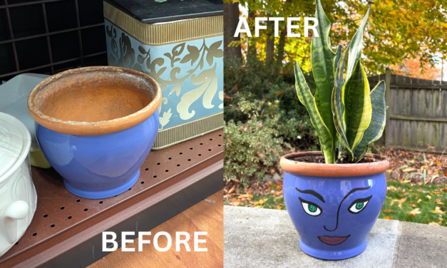 DON’T Look at This Fun Goodwill Upcycle Project!