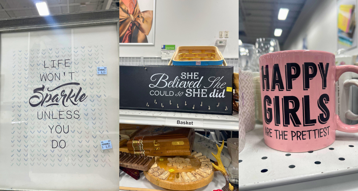 Need Positivity? Check Out the Dale City, VA, Goodwill Houseware Section!