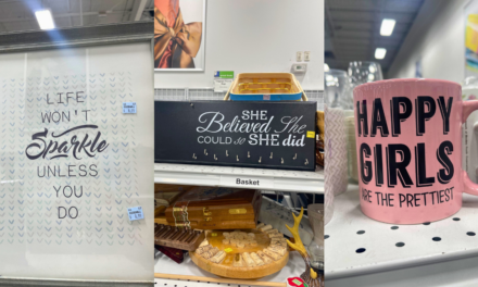 Need Positivity? Check Out the Dale City, VA, Goodwill Houseware Section!