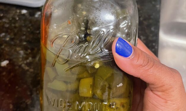 Where to Thrift Cheap Masons Jars for Pickling