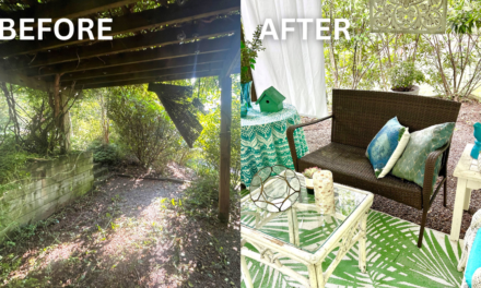 From Overgrown to OMG: 5 Steps to Transform Your Outdoor Space with Style