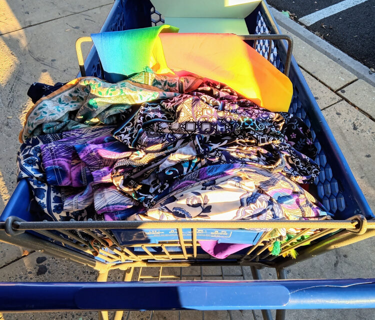 Thrift Recap: Another Good Visit to the Gaithersburg, MD Goodwill