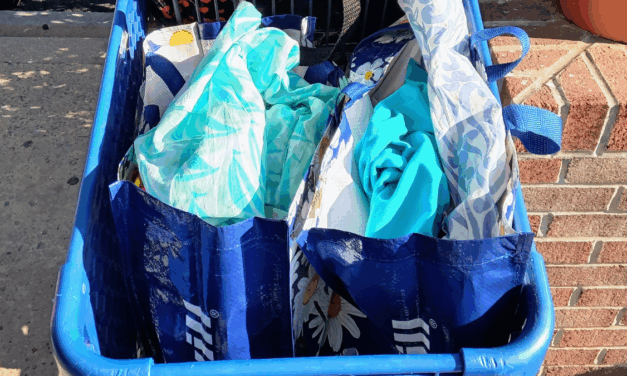 Look What I Found on My Latest Visit to the Gaithersburg, MD Goodwill