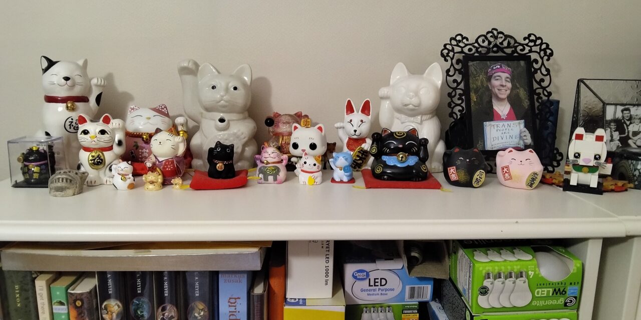 My First Visit to a Goodwill in Minnesota!