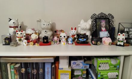 My First Visit to a Goodwill in Minnesota!