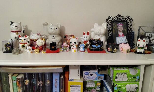 My First Visit to a Goodwill in Minnesota!