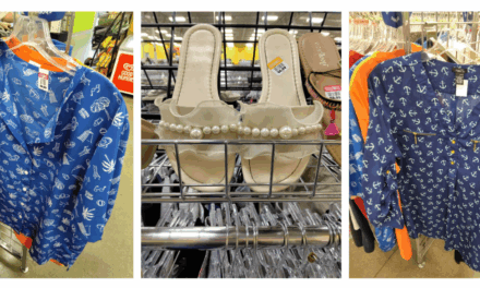 Thrift Review: My 2nd Visit to a Minnesota Goodwill!