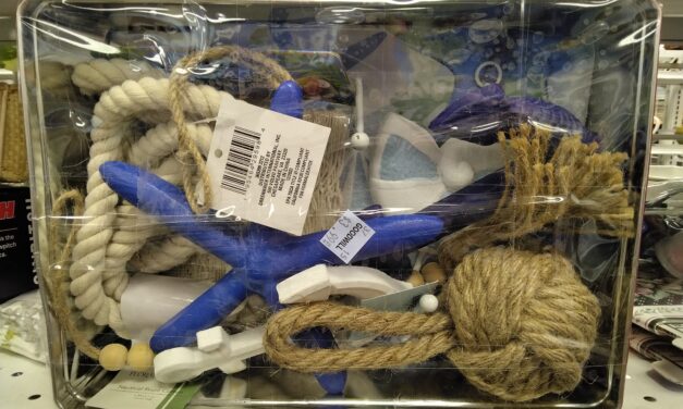 Thrift Review: My Recent Visit to the Gaithersburg, MD Goodwill