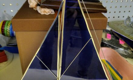 Thrift Review: My 3rd Visit to a Minnesota Goodwill!