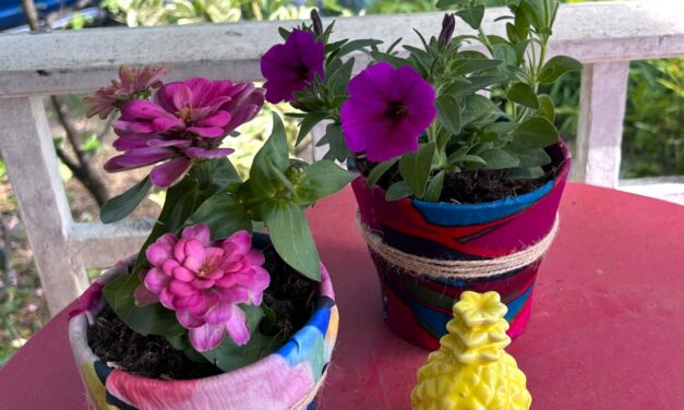 Easy Mother’s Day DIY Project: Flowerpots Transformed with Thrifted Fabric